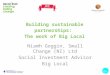 Building sustainable partnerships: The work of Big Local Niamh Goggin, Small Change (NI) Ltd Social Investment Advisor Big Local
