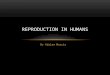 Dr Adrian Mascia REPRODUCTION IN HUMANS. Human Chromosomes