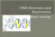 Honors Biology.  1. Discovery of Genetic Material  2. DNA Structure  3. The Race to Solve the Puzzle of DNA Structure  4.DNA Replication