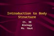 Introduction to Body Structure Ch. 38 Biology Ms. Haut