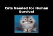 Cats Needed for Human Survival Are cats needed for human survival?