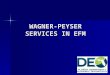 WAGNER-PEYSER SERVICES IN EFM. Services Coding 000 – System generated self-service or staff- generated 000 – System generated self-service or staff- generated