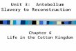 Unit 3: Antebellum Slavery to Reconstruction Chapter 6 Life in the Cotton Kingdom