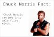 Chuck Norris Fact: “Chuck Norris can pee into gale force winds.”
