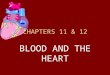 CHAPTERS 11 & 12 BLOOD AND THE HEART. FUNCTIONS OF THE BLOOD 1. Transport of dissolved gasses, nutrients, hormones, and metabolic wastes 2. Regulation