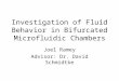 Investigation of Fluid Behavior in Bifurcated Microfluidic Chambers Joel Ramey Advisor: Dr. David Schmidtke