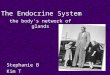 The Endocrine System the body’s network of glands Stephanie B Kim T