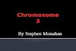 By Stephen Monahan.  Genes on chromosome 3 include ABHD5,ALAS1, AMT,ATP2B2, and BCHE  Chromosome 3 contains between 1,100 to 1,500 genes where ABHD5,ALAS1,