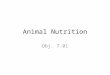 Animal Nutrition Obj. 7.01. General Nutrient Information Nutrient: chemical element that aids in the support of life Ration: amount of feed given to an