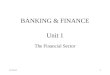 BANKING & FINANCE Unit 1 The Financial Sector 9/7/20151