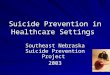 Suicide Prevention in Healthcare Settings Southeast Nebraska Suicide Prevention Project 2003