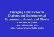 Emerging Links Between Diabetes and Environmental Exposures to Arsenic and Dioxin J. Jina Shah, MD, MPH Lynn Goldman, MD, MPH Johns Hopkins School of Public