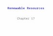 Renewable Resources Chapter 17. Renewable flow resources Such as solar, wave, wind and geothermal energy. These energy flow resources are non-depletable
