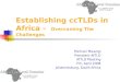 Establishing ccTLDs in Africa - Overcoming The Challenges Michuki Mwangi President AfTLD AfTLD Meeting 7th, April 2008 Johannesburg, South-Africa