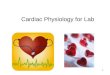Cardiac Physiology for Lab 1. Cardiac Output (CO) Blood pressure Vessel resistance 2