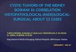CYSTIC TUMORS OF THE KIDNEY BOSNIAK III: CORRELATION HISTOPATHOLOGICAL-RADIOLOGICAL- SURGICAL: ABOUT 12 CASES Y.BEN CHEIKH, N.MAMA, F. MALLAT, F.BOUZEYAN,