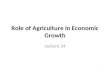 Role of Agriculture in Economic Growth Lecture 24 1