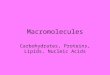 Macromolecules Carbohydrates, Proteins, Lipids, Nucleic Acids