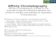 Affinity Chromatography Affinity chromatography is based on the principle of specific interaction between the protein or antigen and antibody for separation