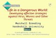 Life in a Dangerous World: Developing effective strategies against Virus, Worms and Other Threats Marshall Breeding Vanderbilt University breeding@library.vanderbilt.edu