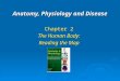 Anatomy, Physiology and Disease Chapter 2 The Human Body: Reading the Map