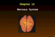 1 Chapter 12 Nervous System. 2 Outline Nervous Tissue The Nerve Impulse – Action Potential Central Nervous System – The Spinal Cord – The Brain Peripheral