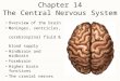 Chapter 14 The Central Nervous System Overview of the brain Meninges, ventricles, cerebrospinal fluid & blood supply Hindbrain and midbrain Forebrain Higher