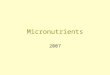 Micronutrients 2007. Micronutrient Status Important throughout the reproductive years: –Periconceptual period –Pregnancy –Lactation –Inter-pregnancy interval