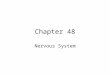 Chapter 48 Nervous System. 1. Nervous systems perform the three overlapping functions of sensory input, integration, and motor output