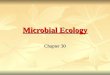 Microbial Ecology Microbial Ecology Chapter 30. Principles of Microbial Ecology, Definitions Ecology Ecology The study of relationships among organisms