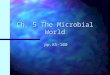 Ch. 5 The Microbial World pp.85-100. Size classification n n ultraplankton - bacteria and other very small plankton,