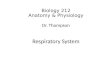 Biology 212 Anatomy & Physiology Dr. Thompson Respiratory System