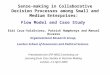 Sense-making in Collaborative Decision Processes among Small and Medium Enterprises: Flow Model and Case Study Eidi Cruz-Valdivieso, Patrick Humphreys