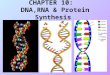 CHAPTER 10: DNA,RNA & Protein Synthesis. I. Discovery of DNA Scientist originally believed PROTEINS would be the molecules which contained hereditary