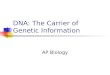DNA: The Carrier of Genetic Information AP Biology