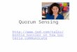 Quorum Sensing   assler_on_how_bacteria_communica te