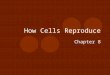How Cells Reproduce Chapter 8. Have you ever wondered… How you grow from one cell to billions? How your cuts heal? Hair grows? How some animals regenerate