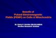 Dr. Garry F. Gordon MD,DO,MD(H) Gordon Research Institute Benefit of Pulsed Electromagnetic Fields (PEMF) on Cells & Mitochondria