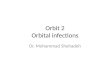 Orbit 2 Orbital infections Dr. Mohammad Shehadeh