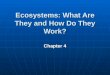 Ecosystems: What Are They and How Do They Work? Chapter 4