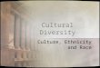Cultural Diversity Culture, Ethnicity and Race. Cultural. Ethnicity & Race Health care providers must work with and provide care to many different people