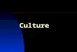 Culture. Political ideology – a system of political ideas, developed for the purposes of political action (governing a country, launching a social movement