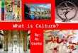 What is Culture? By: Ms. Costa A Way of Life: Culture is the set of beliefs, values, and practices that a group of people has in common. Religion Language