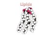 Lipid Structure Fats, Oils, Waxes Provide energy for cells, cell structure, insulation – Lipids & Proteins compose the cell membrane – Cholesterol: