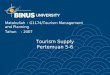 Tourism Supply Pertemuan 5-6 Matakuliah: G1174/Tourism Management and Planning Tahun: 2007