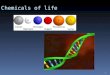 1 Chemicals of life. 2015/9/9 2 The Macromolecules of cells