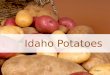 Video Idaho Potatoes. Idaho Potato Commercial Activity In groups of 5-6 students, you will create a short skit or commercial (30 seconds – 1 minute) promoting