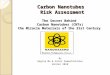 Carbon Nanotubes Risk Assessment The Secret Behind Carbon Nanotubes (CNTs) the Miracle Materials of the 21st Century By Regina Ma & Aster Zemenfeskidus