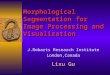 Morphological Segmentation for Image Processing and Visualization J.Robarts Research Institute London,Canada Lixu Gu