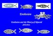 Evolution and the Theory of Natural Selection What is Evolution? The change in gene frequencies in a population over time